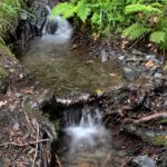 「空水茶屋」ができるまで１