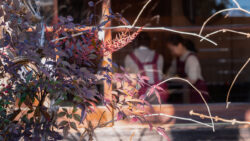 MAMEHICO紫香邸（桐生）