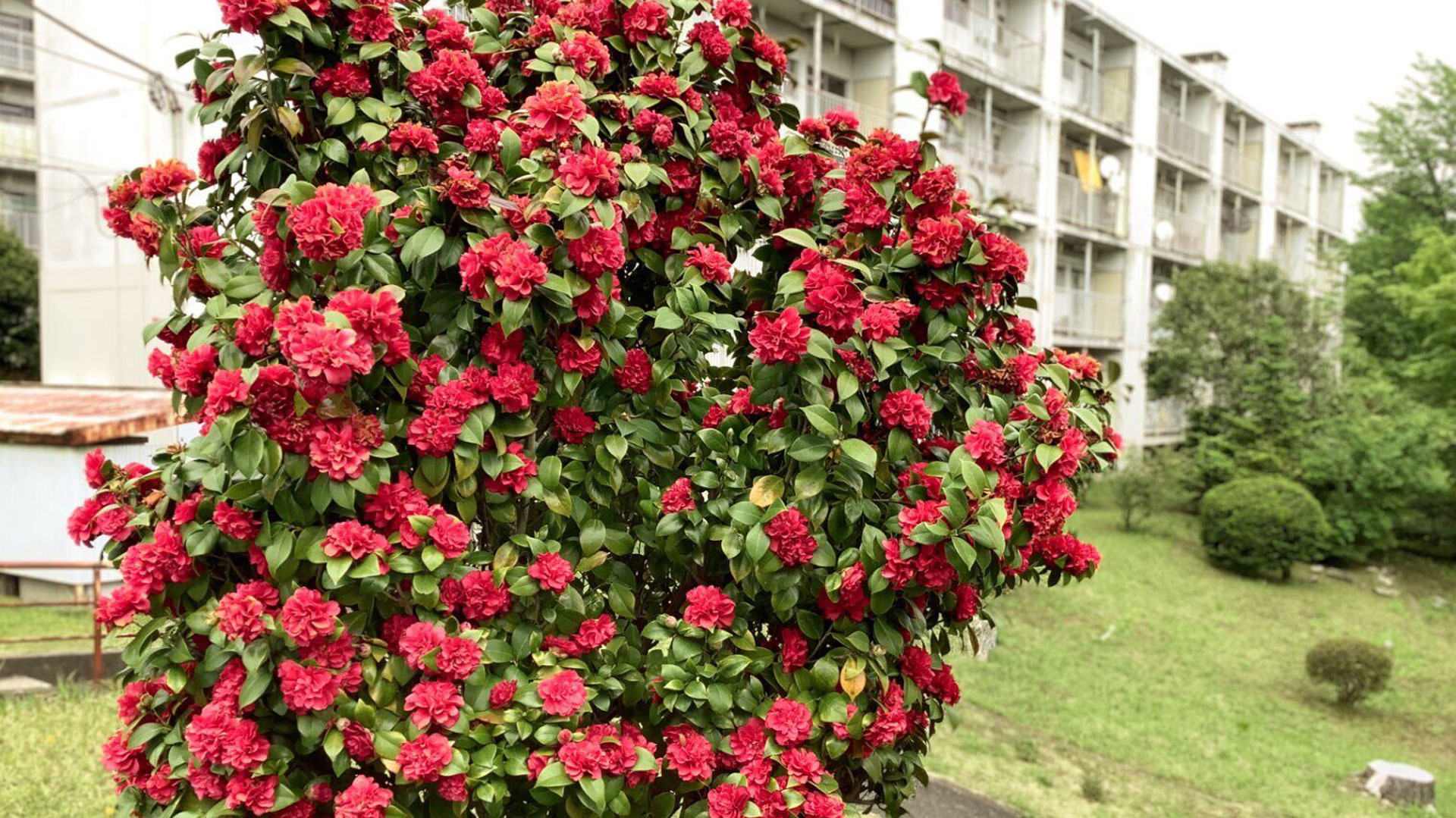 誰かとつくる
