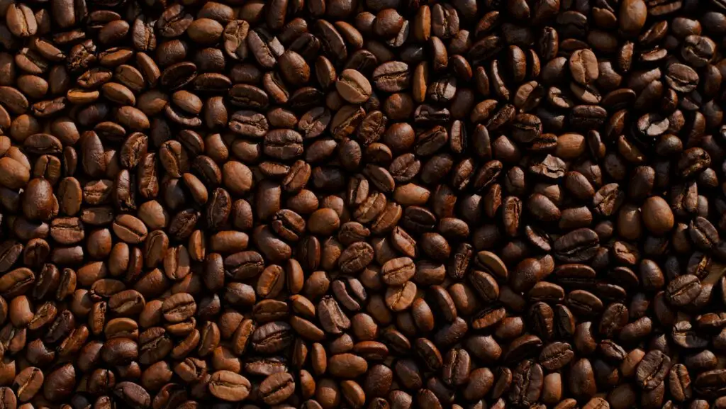 coffee bean lot