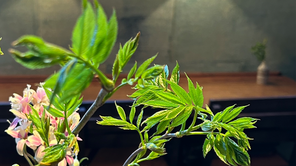 季節の花の会    -自然とともに、花をいける時間-