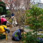 12月の庭の遠足。