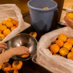 渋柿なんだけど、、、