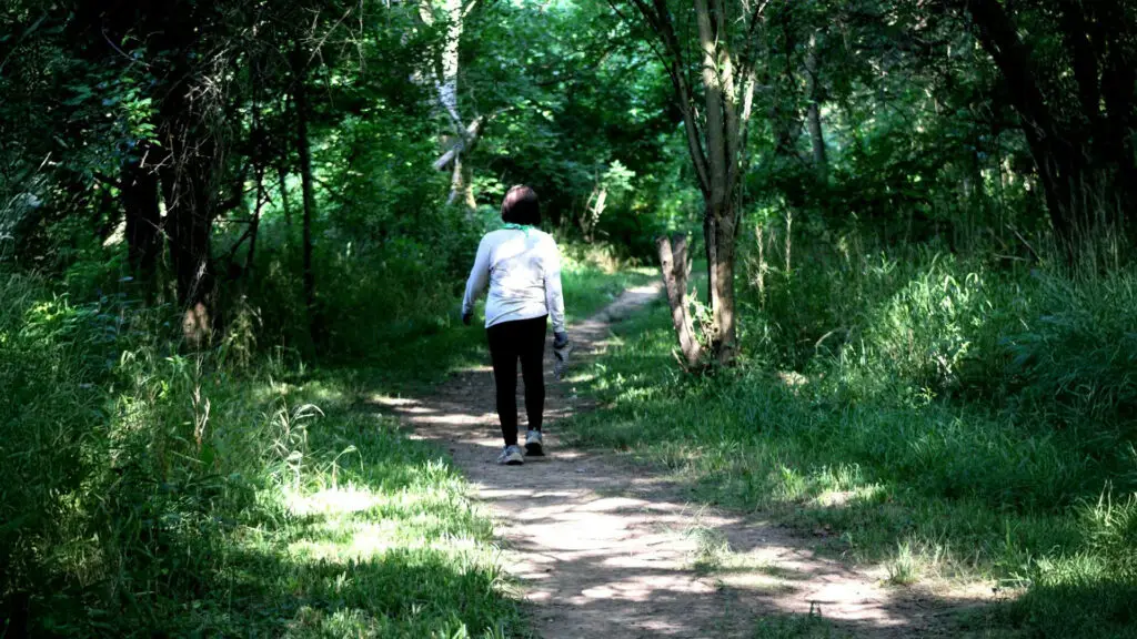 みちくさ散歩　-五月の草を摘みに-