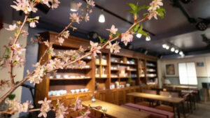 MAMEHICO神戸・御影