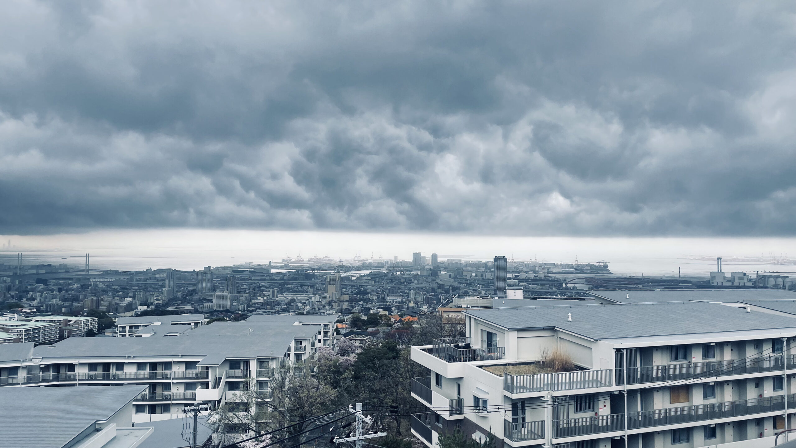 今日は雲が分厚い御影です。